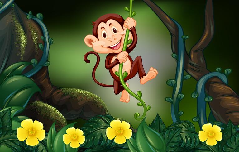 Monkey on the vine in the forest vector