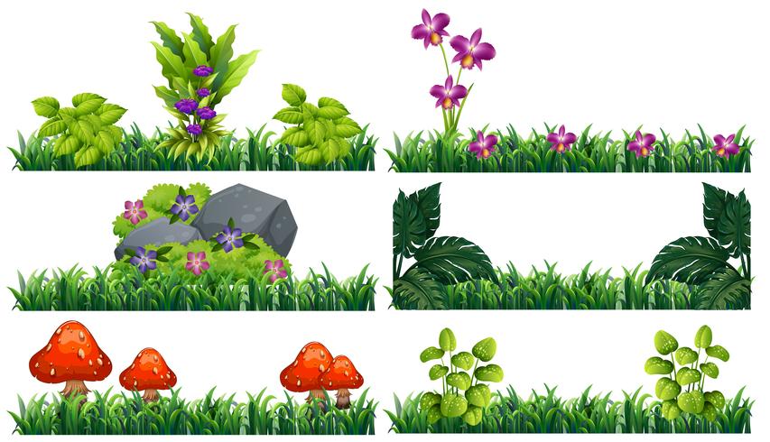 Seamless background with flowers in garden vector