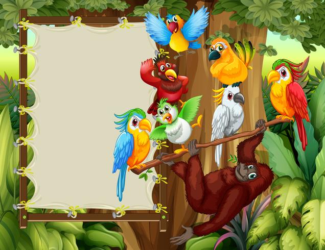 Frame designs with wild birds and monkey vector