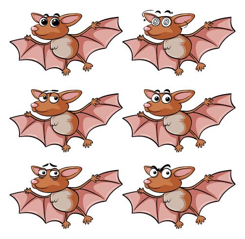 Bat with different facial expressions vector