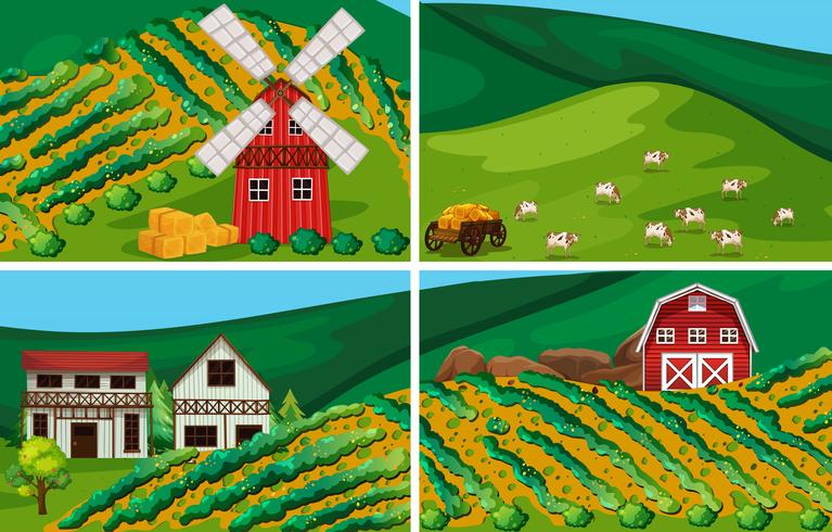 Farmland vector