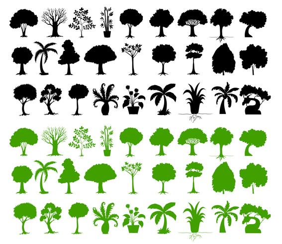 Variety of trees vector