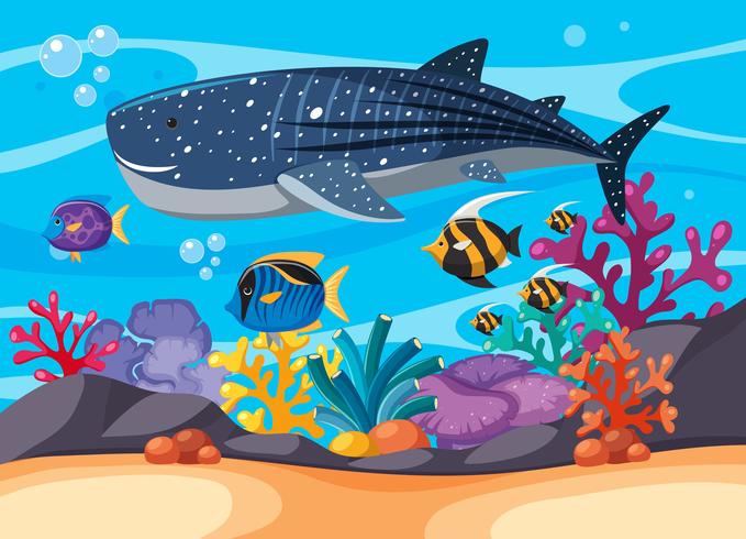 Escena submarina con pez ballena y otros peces. vector