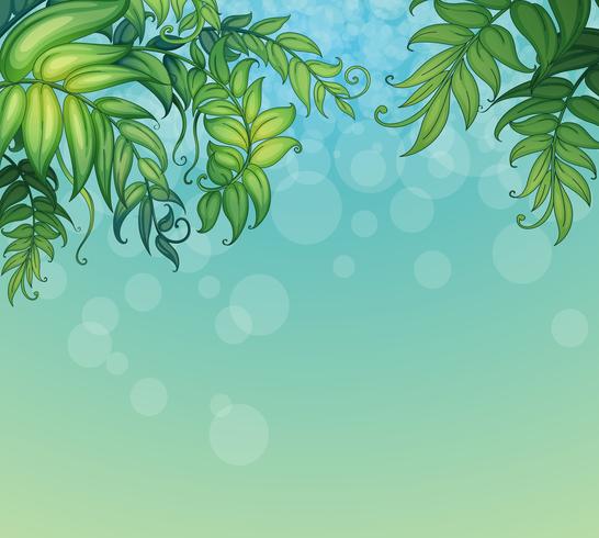 Un fondo azul con plantas de hojas verdes. vector