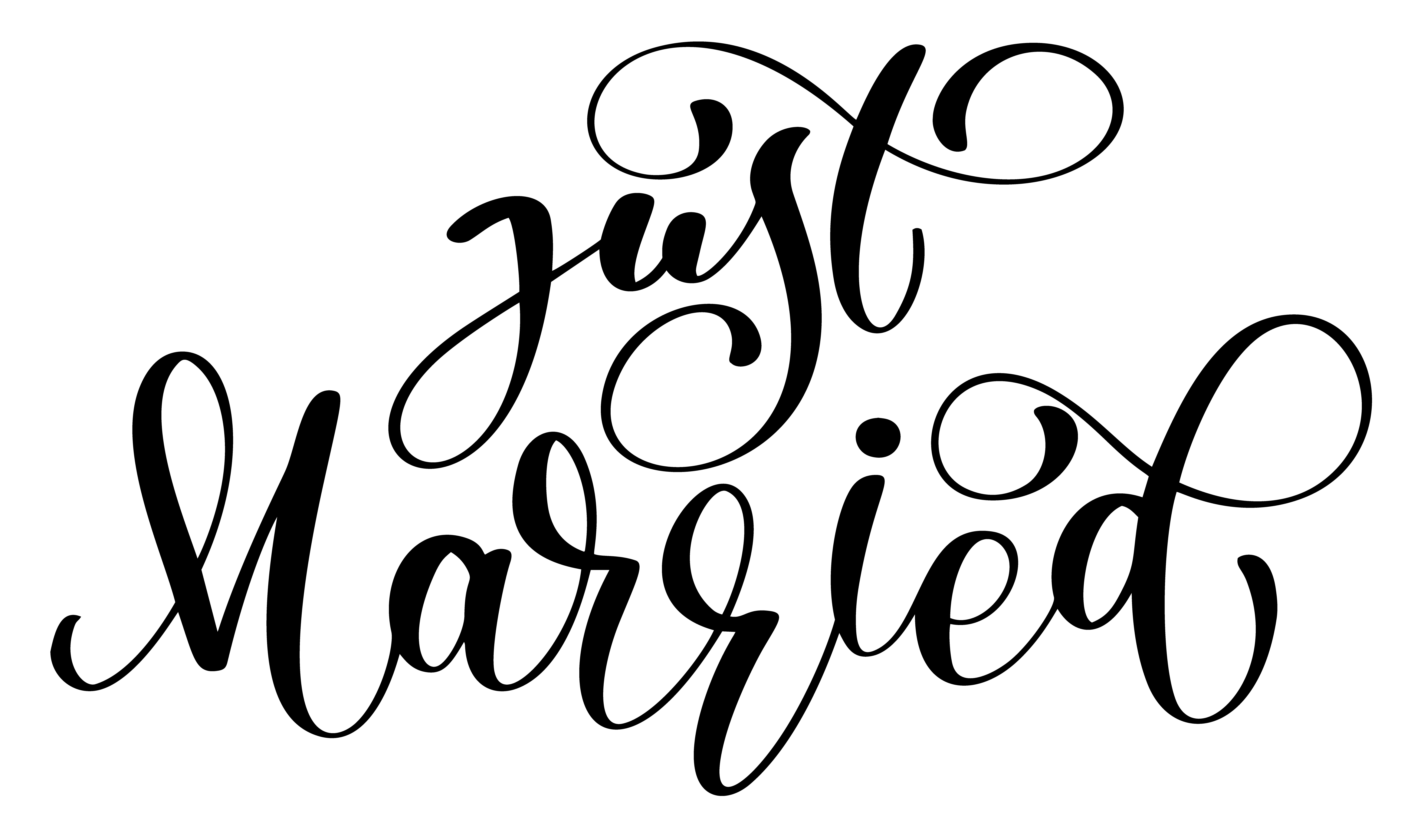 Just married vector text on white background. Calligraphy ...