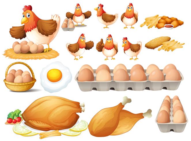 Pollo y diferentes tipos de productos de pollo. vector