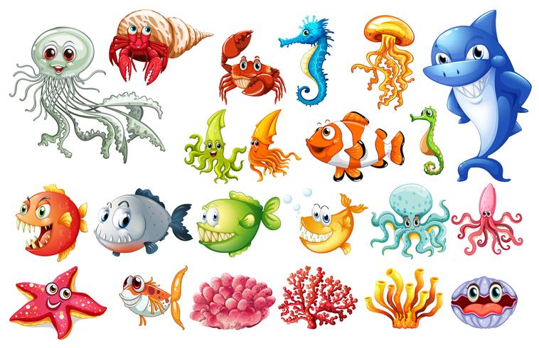 Different kinds of sea animals vector