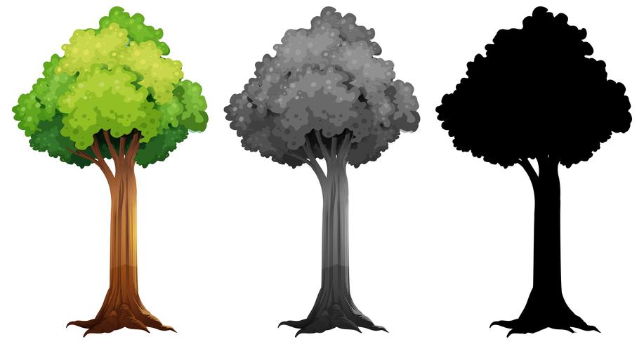 Conjunto de diseño de árbol diferente vector