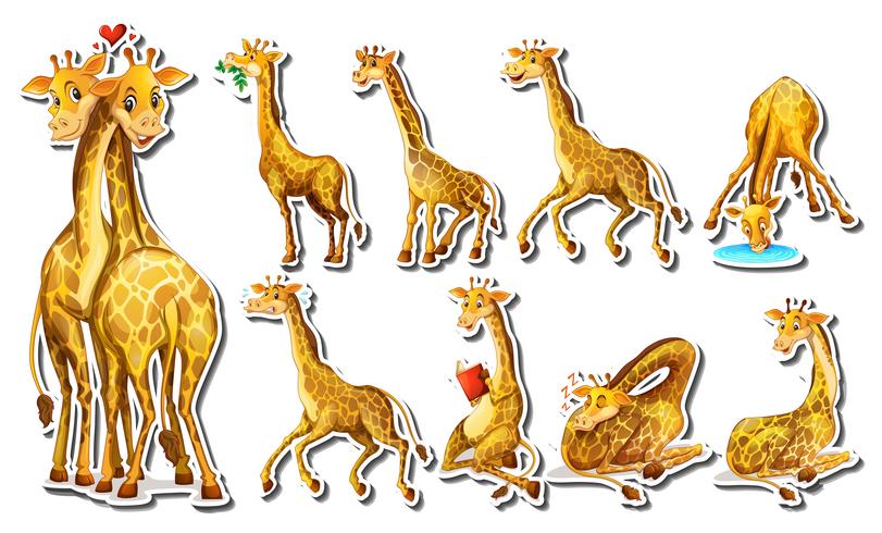 Sticker set with happy giraffe vector