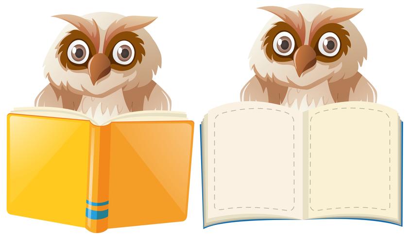 Two owls with book templates vector