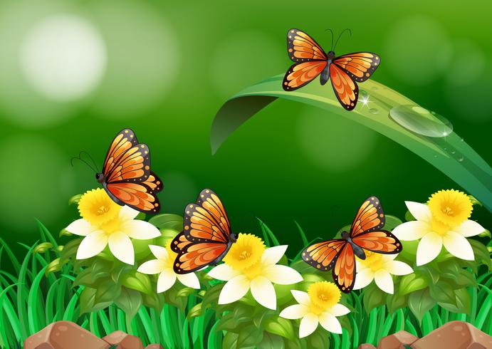 Mariposas volando en el jardin vector