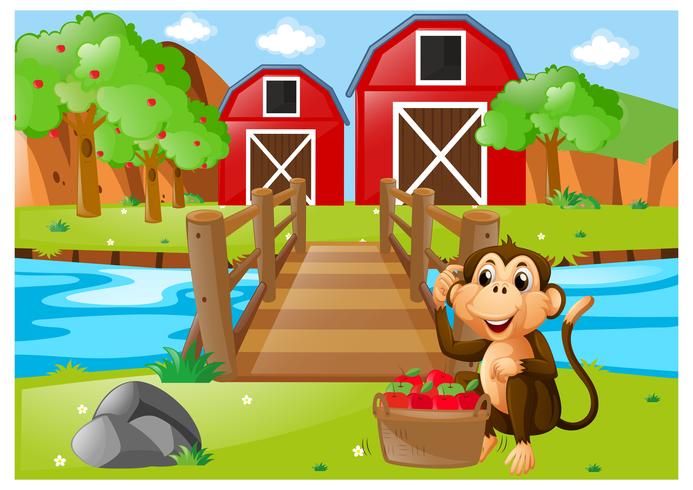 Monkey and bucket of apples in orchard vector