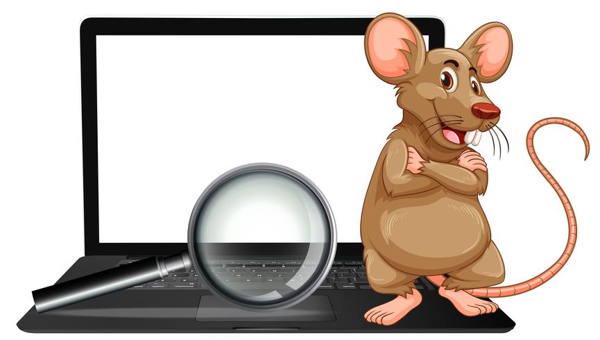 A rat on laptop and magnifying glass vector