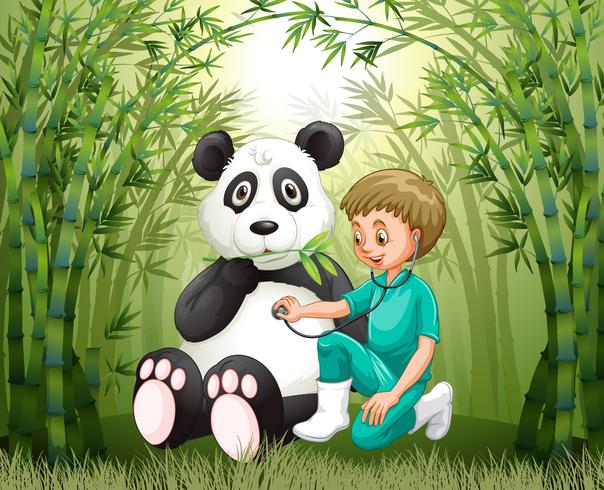 Veterinario médico y panda en el bosque de bambú vector