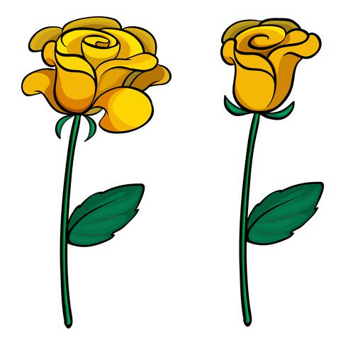 Dos flores preciosas vector