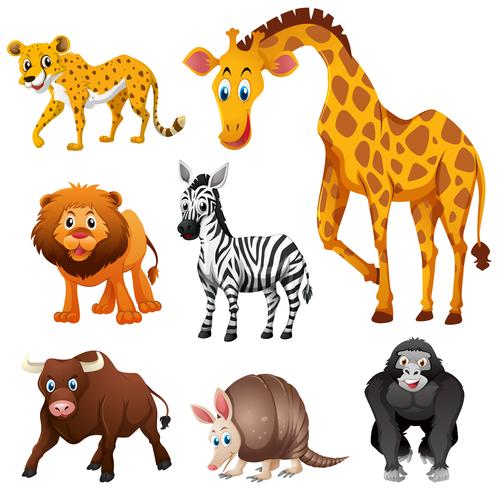 Different types of jungle animal vector