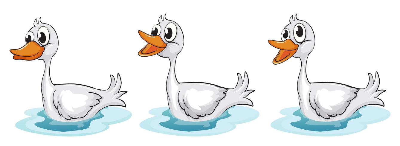 Patos sonrientes vector