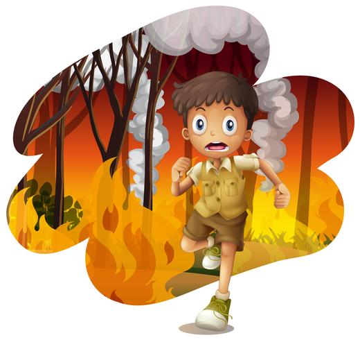 Forest explorer run awat from wildfire vector