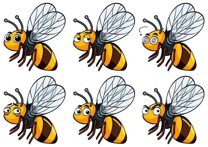 Bee with different facial expressions vector