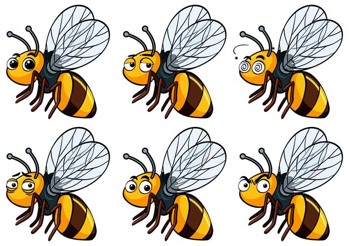 Bee with different facial expressions vector