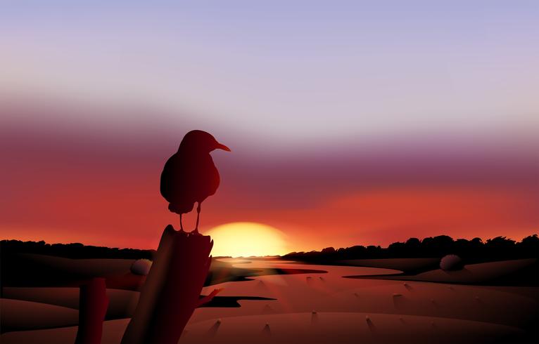 Un pájaro en una vista del atardecer del desierto vector