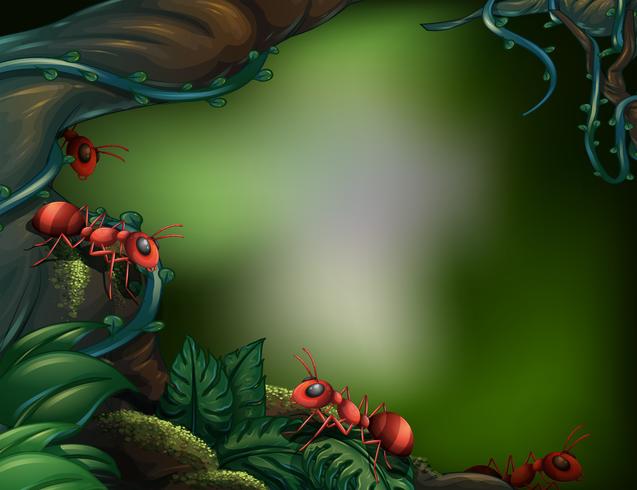 Ants at the rain forest vector