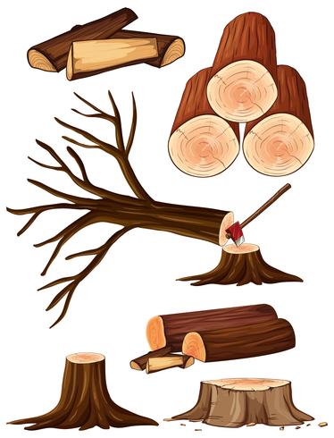 Un proceso de corte de arbol vector