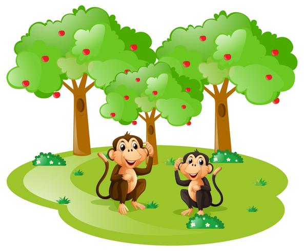 Two monkeys in the forest vector