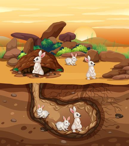 Rabbits Digging a Hole vector