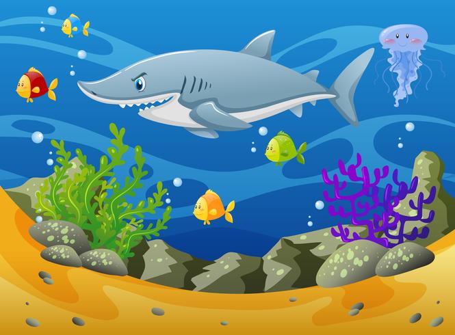 Tiburones y otros animales marinos bajo el agua. vector