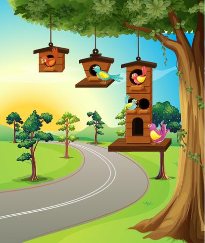 Birds in birdhouse on tree vector