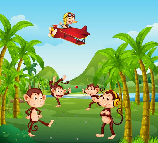 Un grupo de monos en la selva. vector