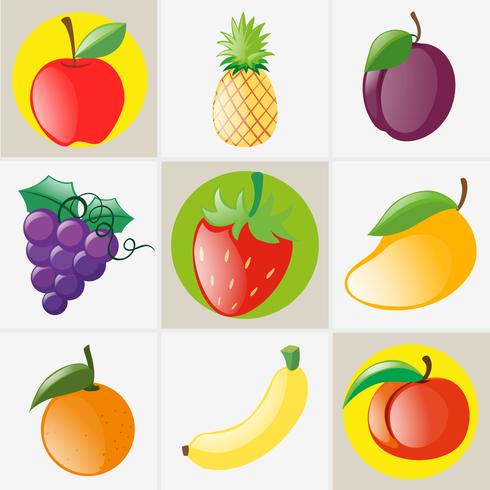 Diferentes tipos de frutas vector