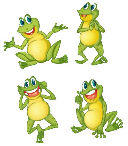 Frog series vector