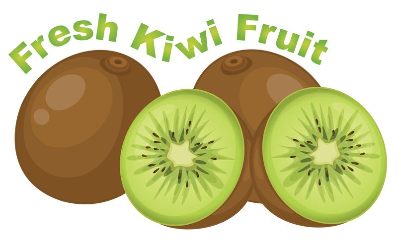 Fresh kiwi fruit on white background vector