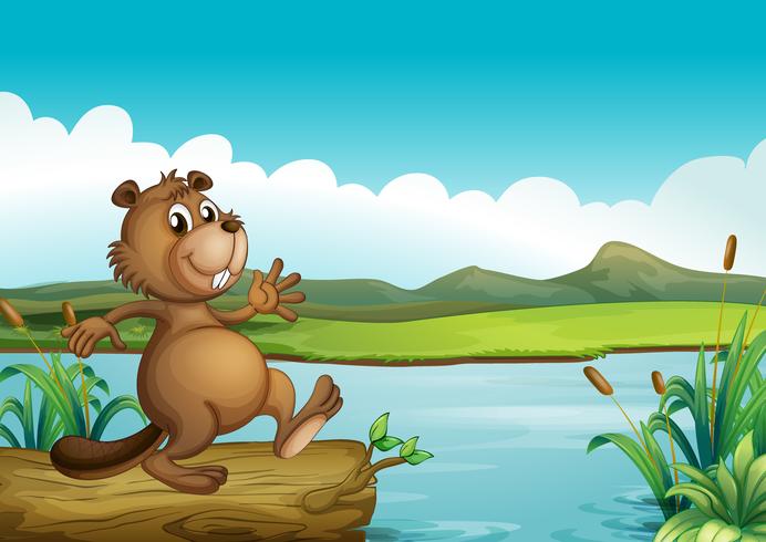 A beaver above a floating wood vector