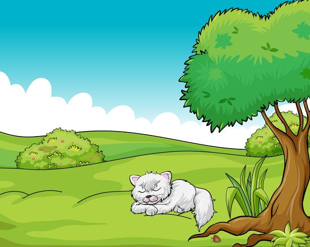 A cat sleeping vector