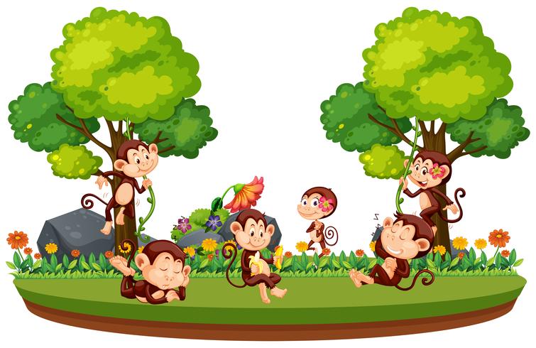 Wild monkey in forest vector