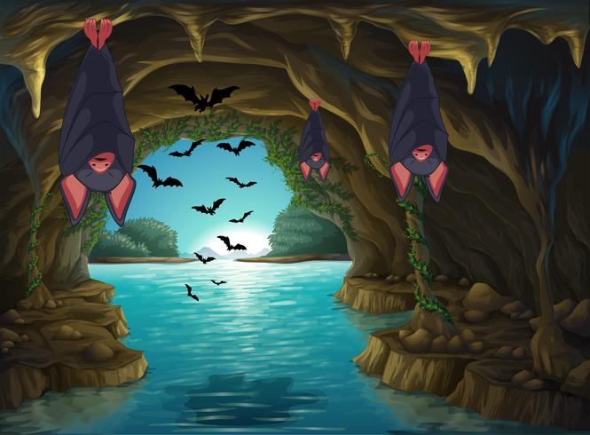Bats living in the dark cave vector