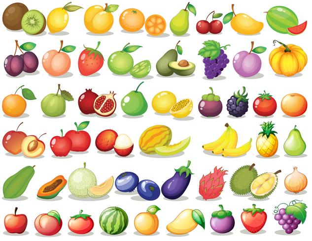 Fruit set vector