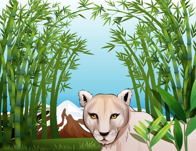 Un tigre asustadizo en el bosque de bambú. vector