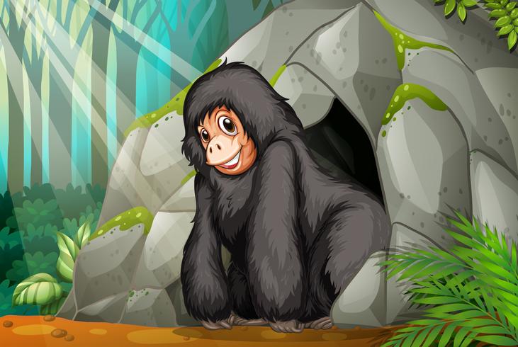 Chimpanzee standing in front of the cave vector