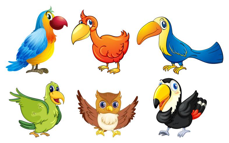 Six flying birds vector