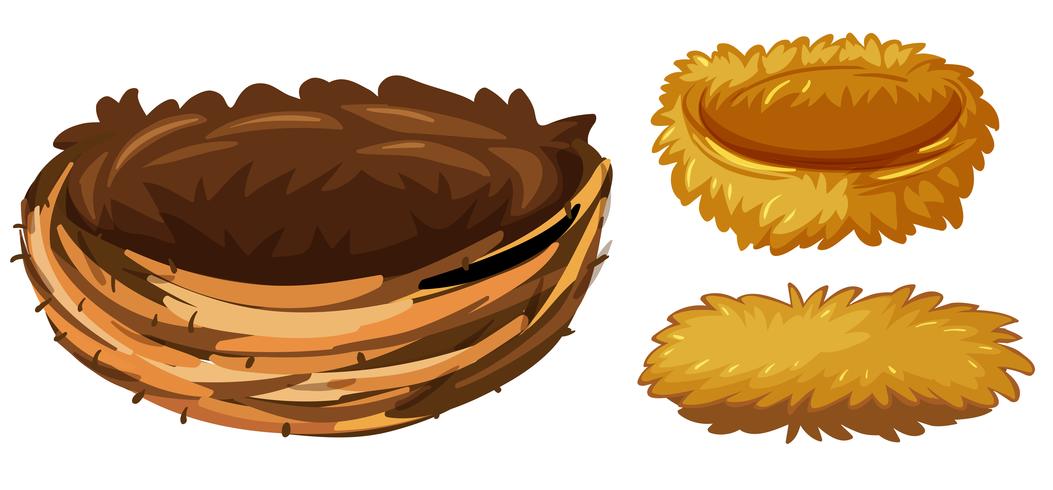 Three different types of bird nests vector