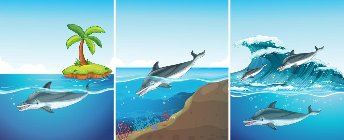 Escena del océano con delfines nadando vector