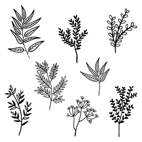 Set of vintage style leaves. vector