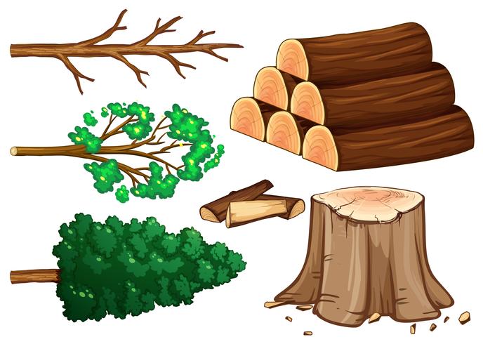 Tree and firewood on white background vector