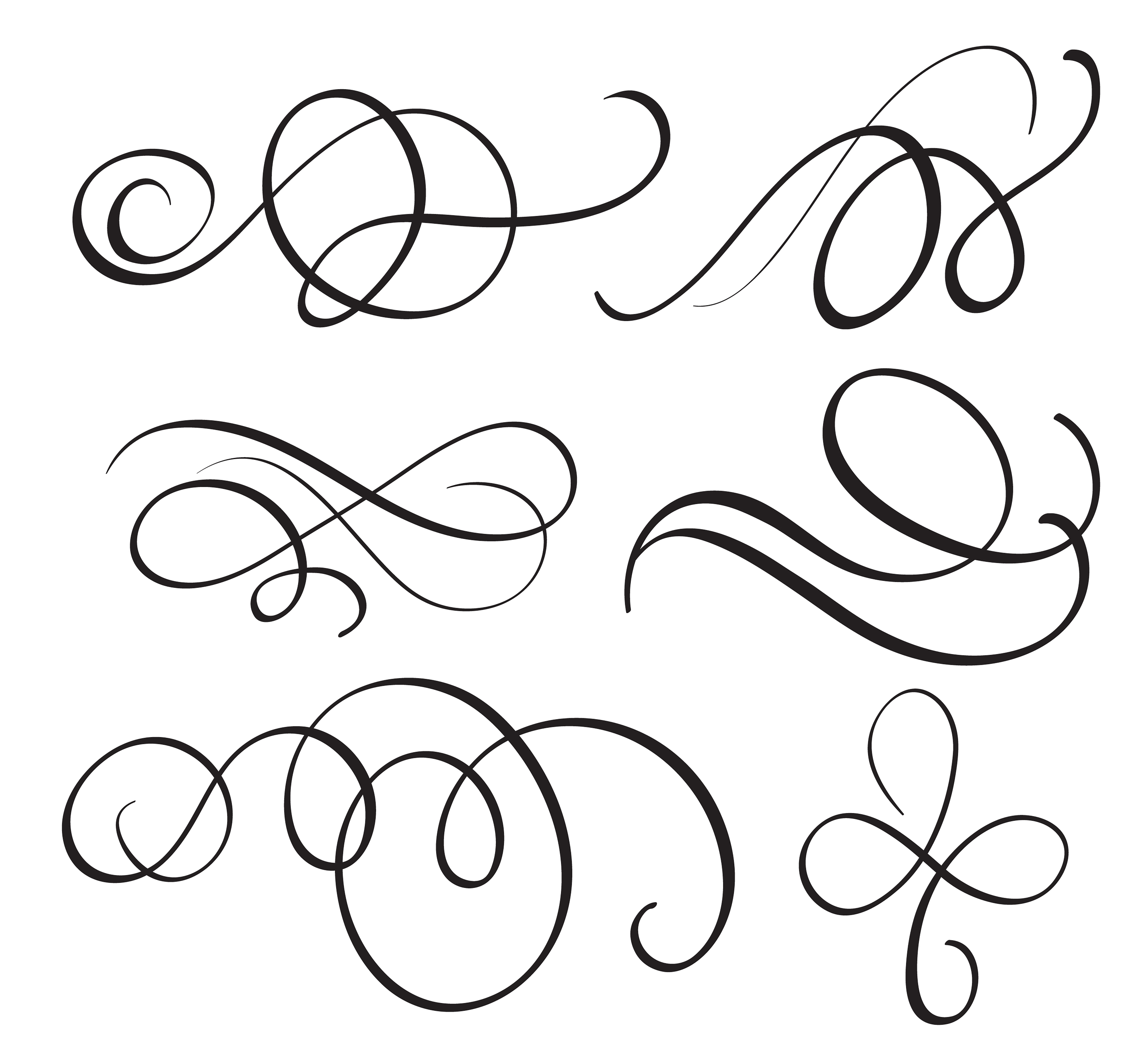 art calligraphy flourish of vintage decorative whorls for design