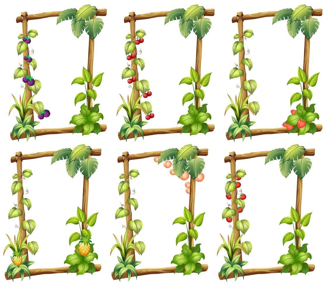 Plant templates 416468 Vector Art at Vecteezy