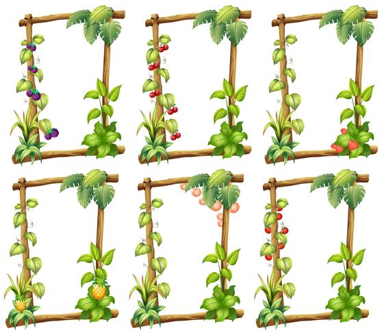 Plant templates vector